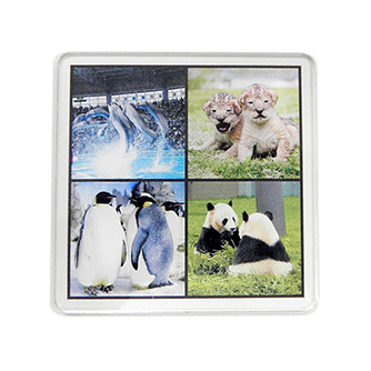 アクリルコースター90mm角（zoo）